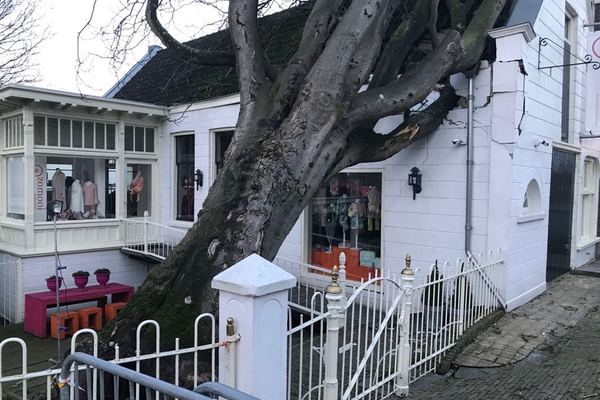 stormschade grote gevel renovatie